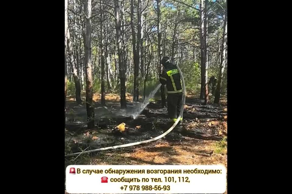 На территории города Севастополя продолжает действовать особый противопожарный режим!