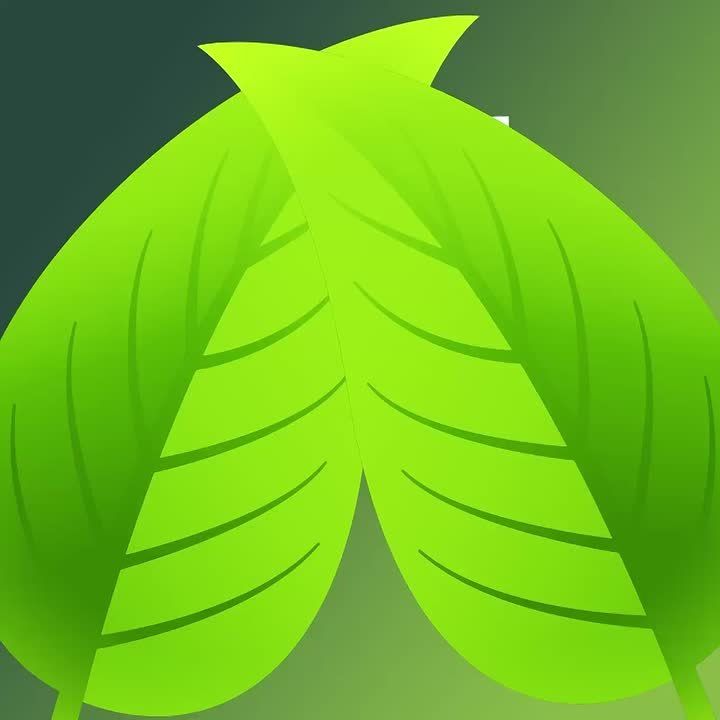 ������ ���� ������ �� ��������� ������ ������