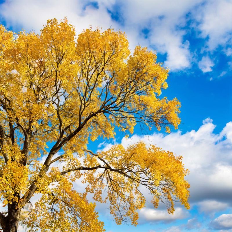 Прогноз погоды в Крыму на 11 сентября