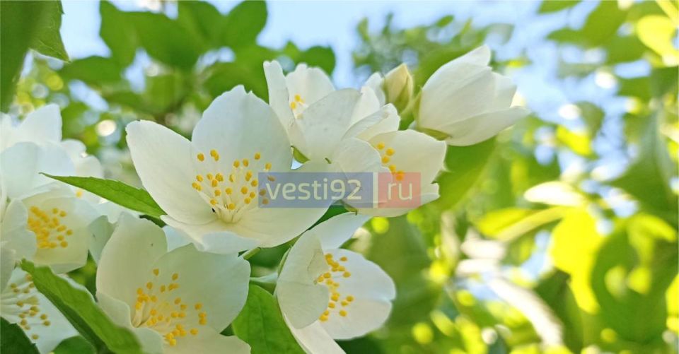 С добрым утром, Севастополь!