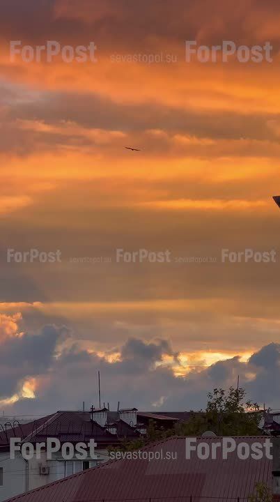 ������ �������� ������ � �����������