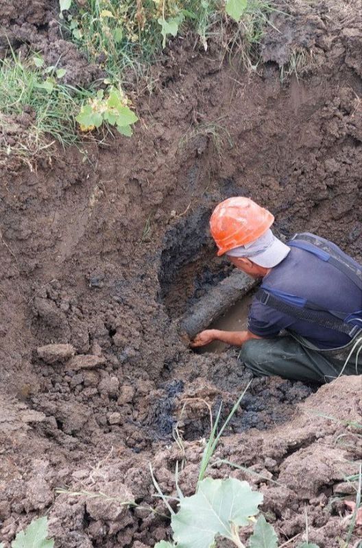 ���������: ������� �������. ��������-����������������� ������