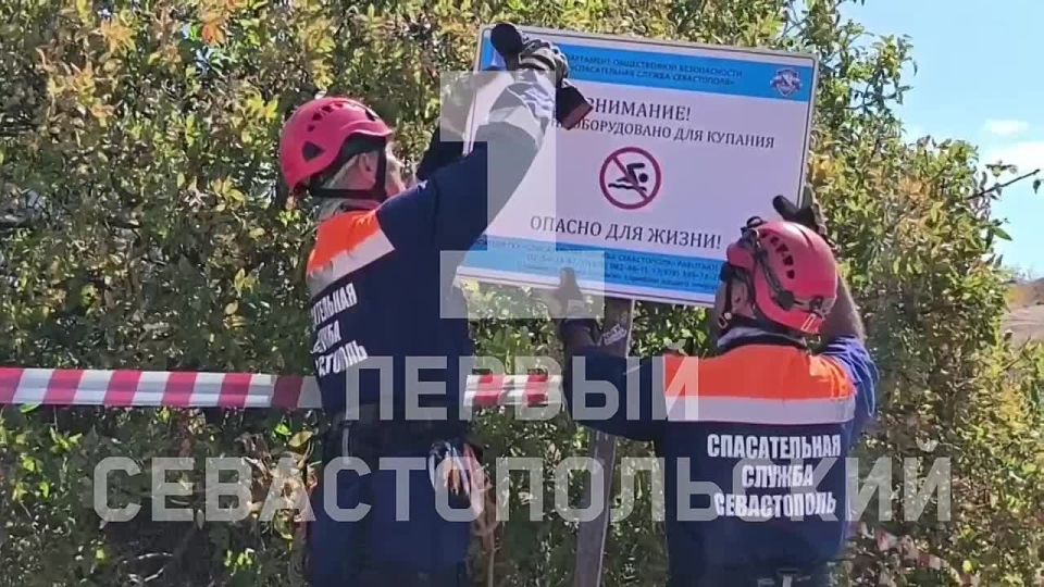 ����� ��������, ��������������� � ����������� ������� � ������, ���������� ����� ������� � ����� ����������