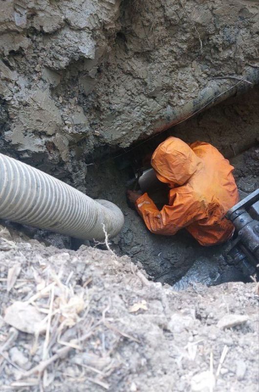 ���������: ������� �������. ��������-����������������� ������