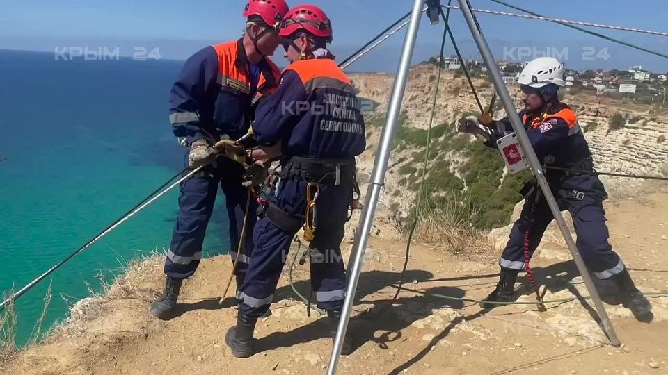 ������� ������ ������� ������ ����������