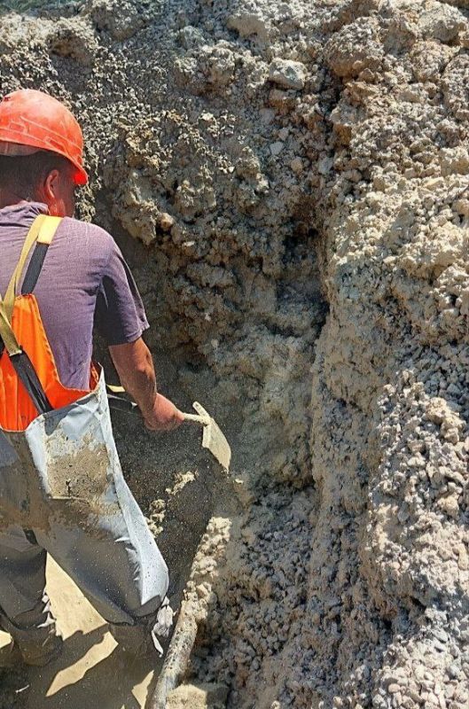 ���������: ������� �������. ��������-����������������� ������