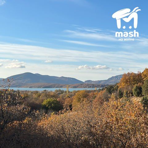 Ну что вы там, подписчики, уже привыкаете к осеннему воздуху? По традиции принесли вам развлечения на конец недели