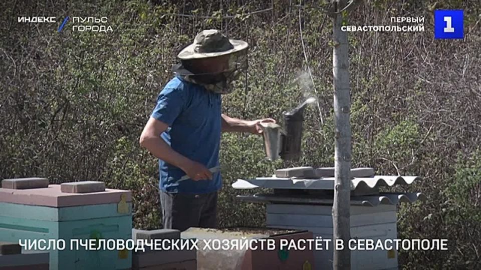 � ����������� ����� ����� �������������� ��������