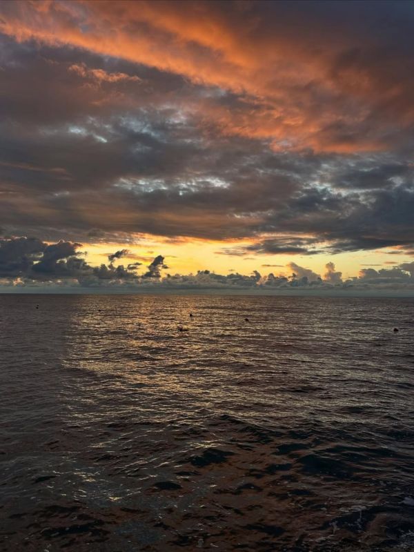 ������������� ��� ������ �����������