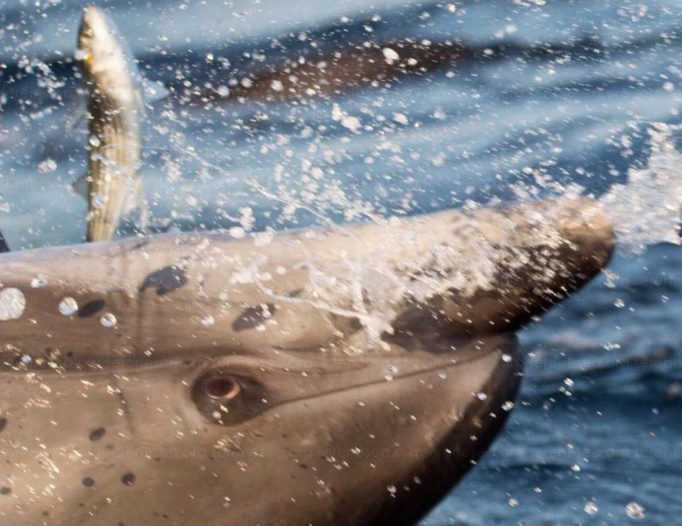 �������� 12 ���� ���� ��� �������� ���� ������ ���������!