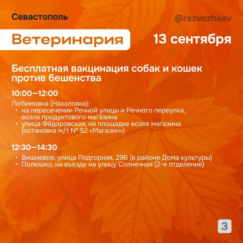 ������ ���������: ������� ��������, � ��� ����������� ��������������� ���������� ����������� ��� �������������� ���������� �����������