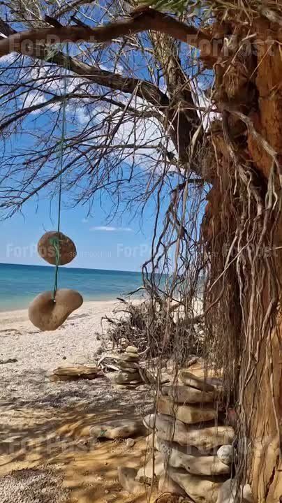 �������� ����� ����������� ������� ������