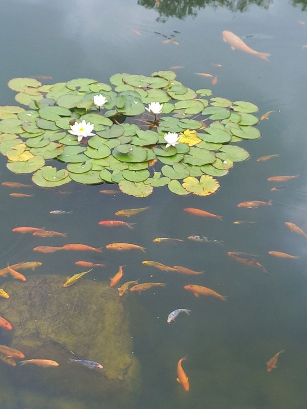 ������� ����, ������!. � ������� ��� �������