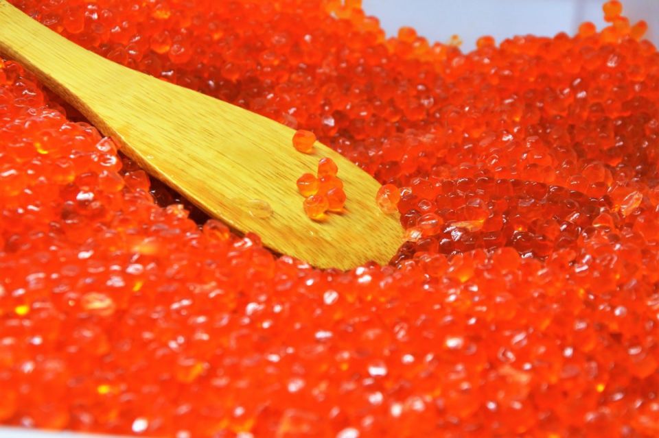 � ������ 2025 ���� ������ ������ ������ �������� ���������� 312 ����� ���� ��� ��������� �� ������ ���� 340�350 ����� ����