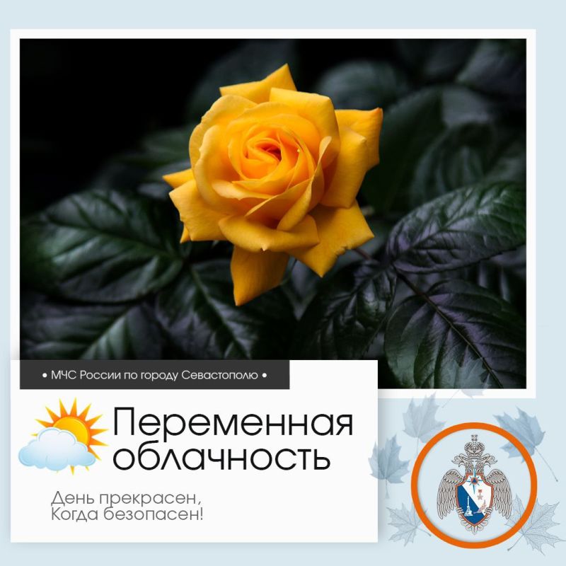 Здравствуй, Севастополь!. По данным гидрометцентра, 12 сентября в Севастополе будет переменная облачность, осадков не ожидается