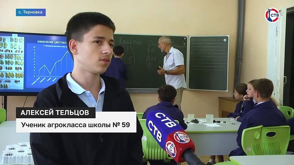 ���� �������: ������� ����������� ��������� ���������� ������ �� ��������