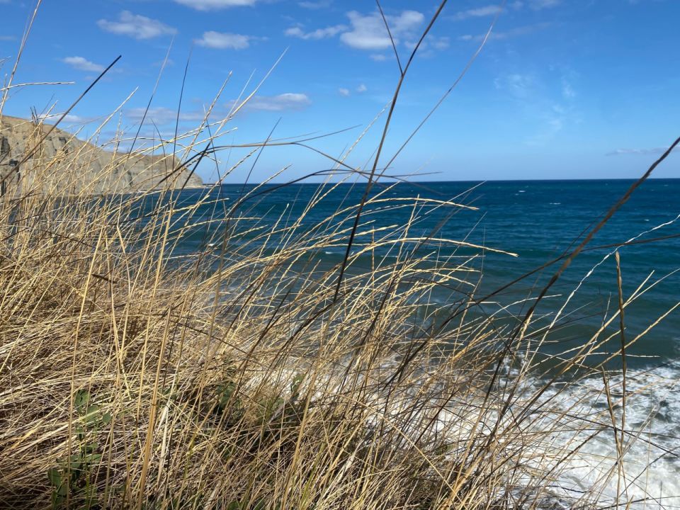 ������� ������ � ����� �� 13 ��������