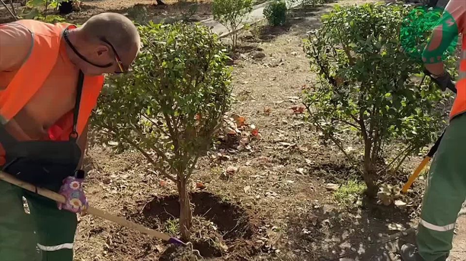 ����� � �������: � ������ �� ����� �������� ����������� ��������� �� ����������