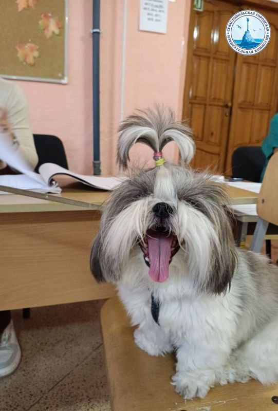 ������ ����, ������� ����������!