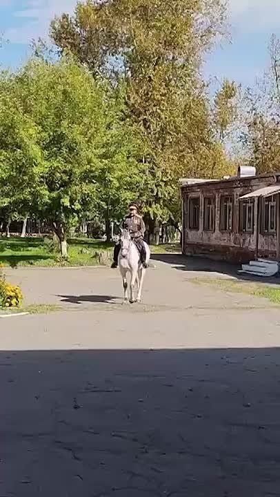 ������ �� ����: ��� ������� ������ ������� �� ������������� �������, ����� ������� ������� � ����������� �� ����������� ��������� �������