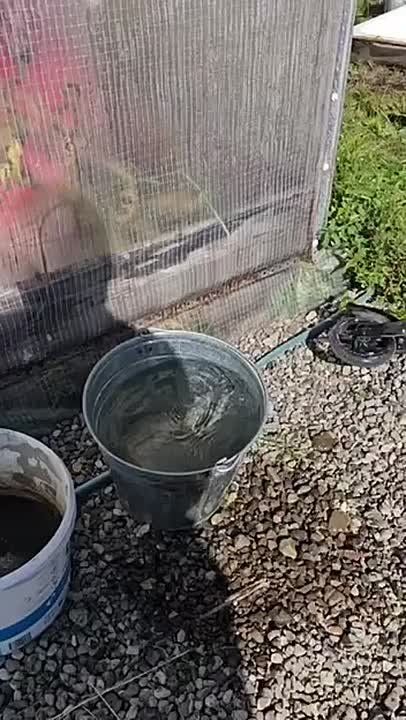 ������ ������������� ��������� �� �������� ���������� � ��������� 7,7 � ���������� �������