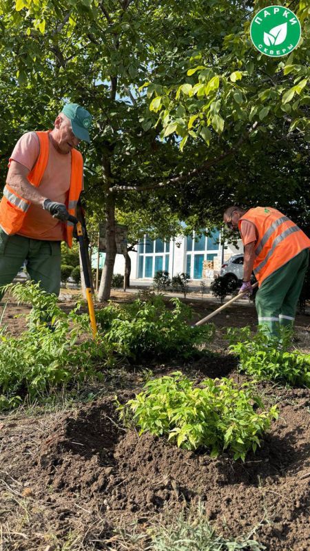 � ��������������� ������ �� ����� �������� �������� �������� �������� �����