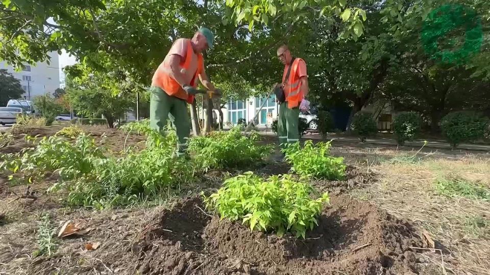 � ��������������� ������ �� ����� �������� �������� �������� �������� �����