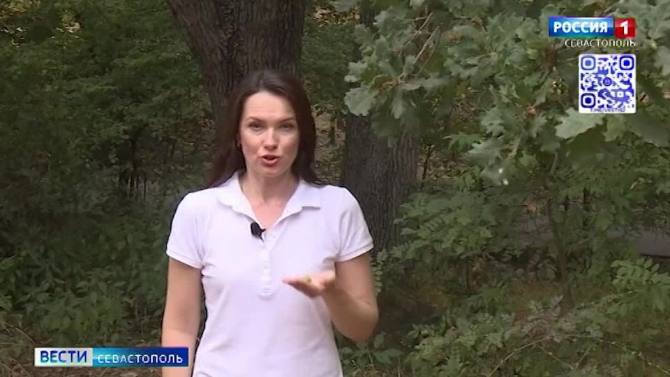 Изначально губернатора в Севастополе не выбирали