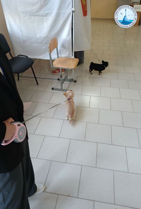 �� ������������� ������� ������ �������� �� ������ ������������� ��������