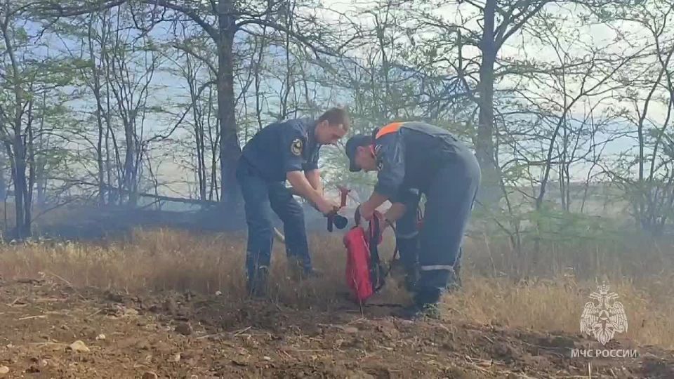 � ����� ����� ������� ����� �� 10 �������� �����