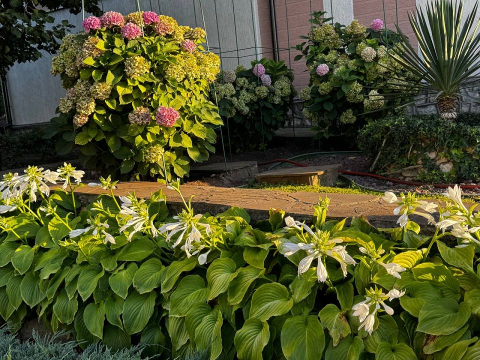 � ����� ������ ����� ����� �������� �������� �����