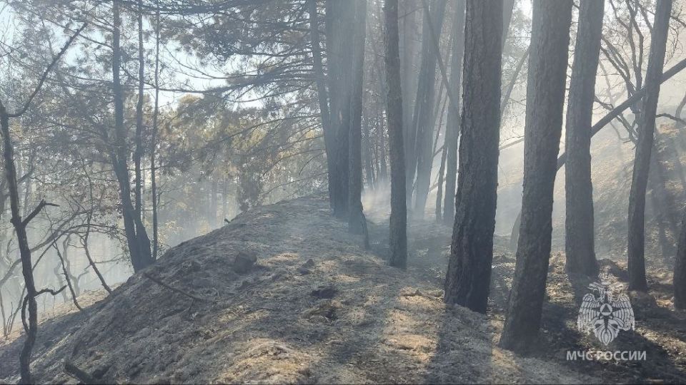 ����� � ����������� �����������