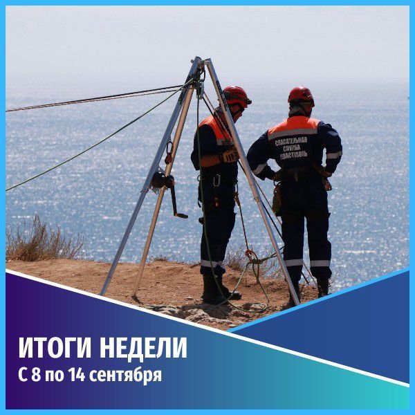 ������������ ������������. ������� ������ � 8 �������� �� 14 ��������