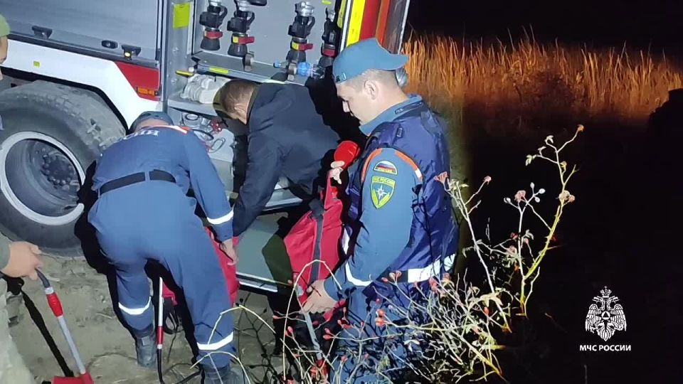 За ночь площадь лесного пожара под Феодосией увеличилась до 80 га — МЧС