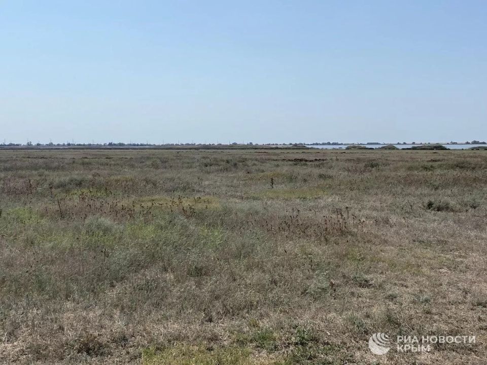 В Севастополе передадут 97 земельных участков для участников СВО