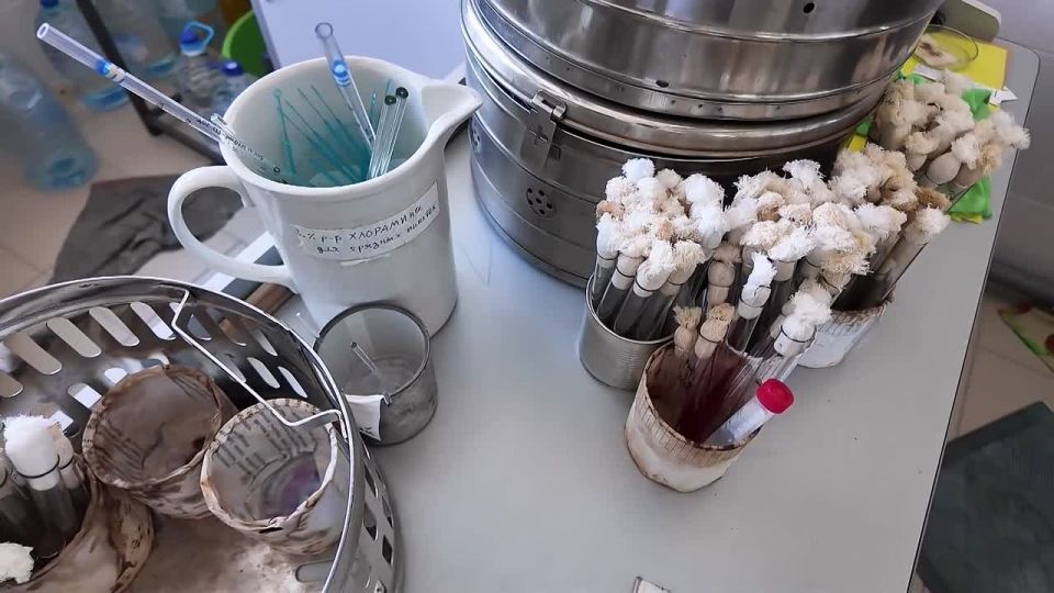 15 �������� � ������ �������� ���� ����������� ���������-������������������ ������