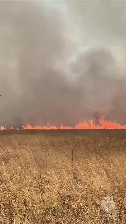 ��� ������������ ����� ����� �� 50 ��������