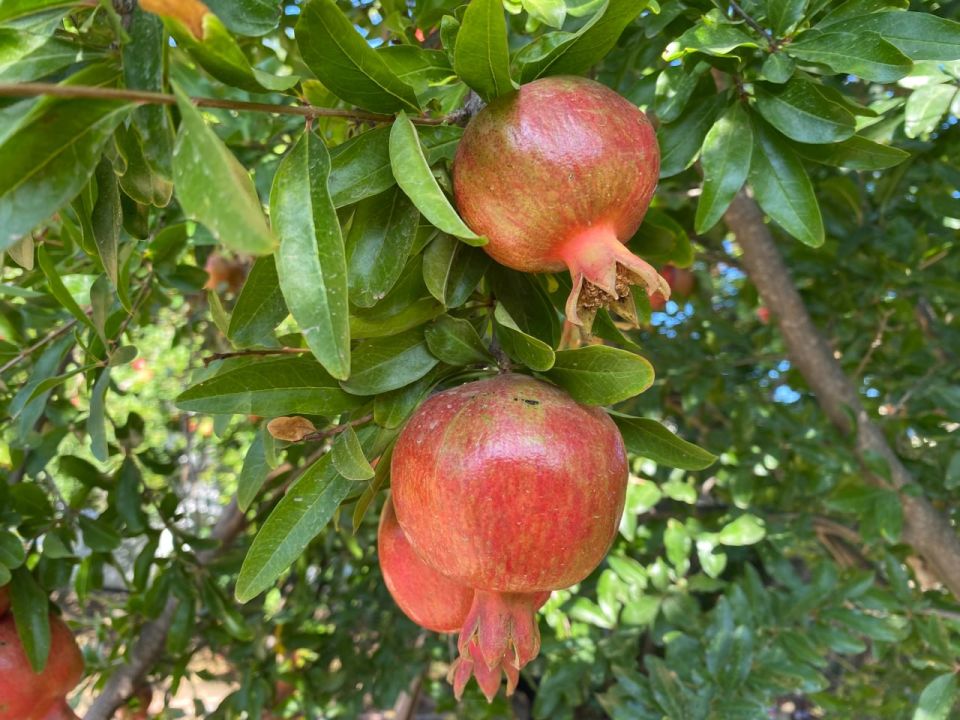 Прогноз погоды в Крыму на 15 сентября