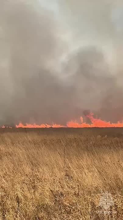 ��� ������������ ����������� ����������� ����� � ���