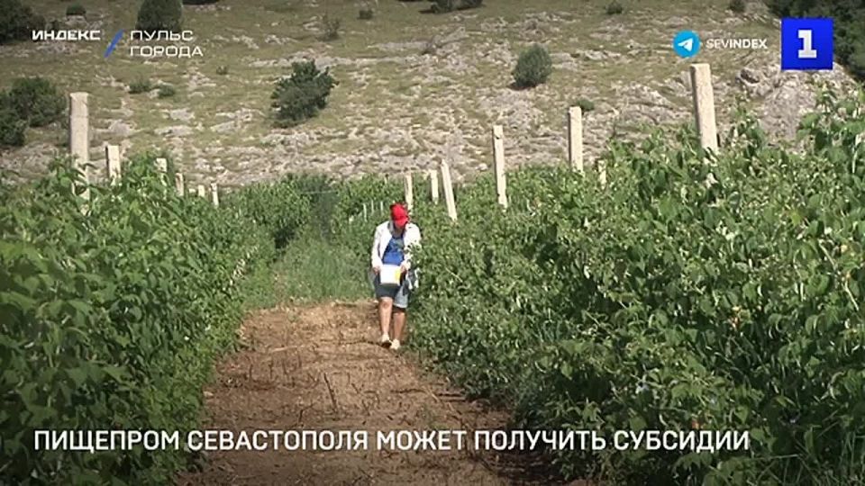 ����������� ��������� ����������� ����� �������� �������� ��� ������� ������������