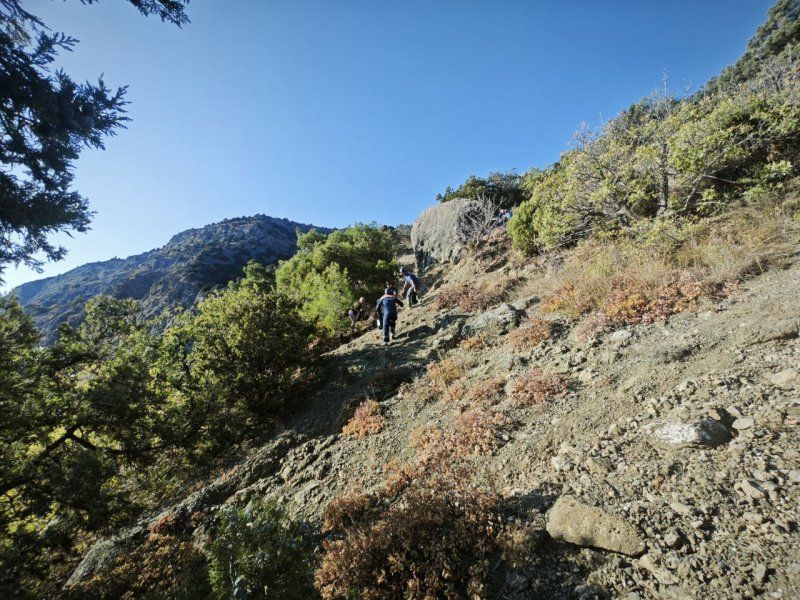 ��������� ������������ ��������, ������� �������� �� ����� � ������ ����� ����������� ��� ����������