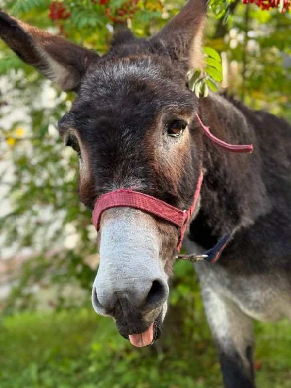 � �������� �������� ������ �������� ������ �����