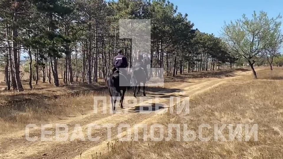 ������ ������� ����������� ���������� ���������������� ����������� �����������