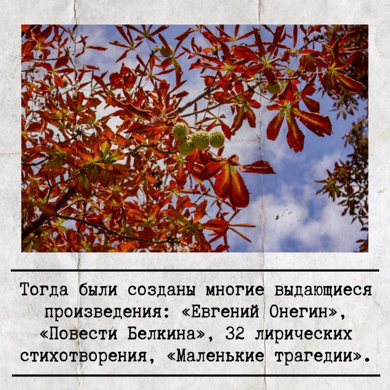 ������� ����! ���� ����������! ������� ��� ���� ���������� �������