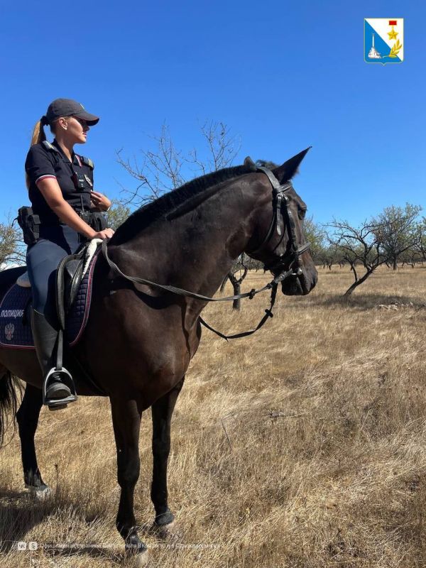 ��������� � ������������ ����