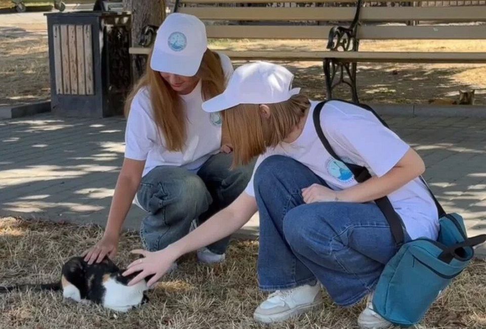 В Севастополе не стали считать голосовавших на дому