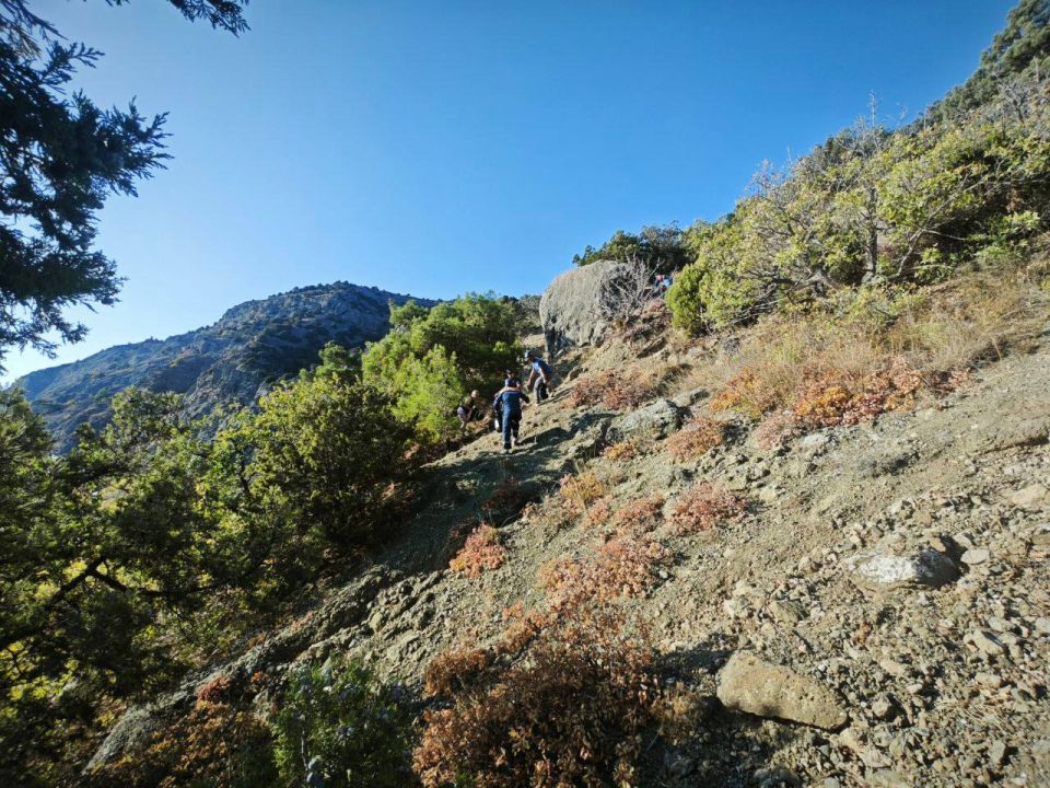 �������� ������ � ���������������� ������� ����� ��� ����������