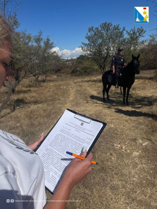 Заботимся о безопасности леса