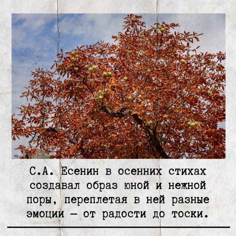 ������� ����! ���� ����������! ������� ��� ���� ���������� �������