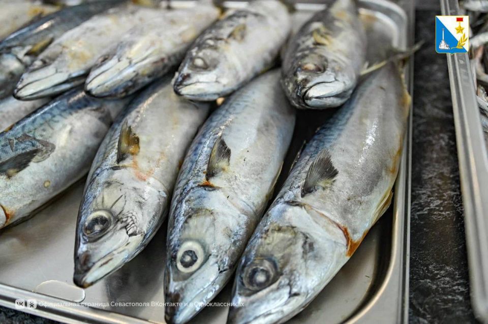 ����������� ����� ����� � ��������� � ������ ��������� ������� �����